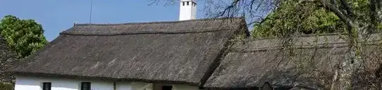 Skanzen