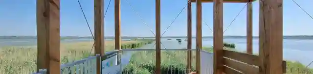 Küszvágó csér kilátó