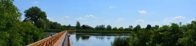 Kenyérgyári-holtág