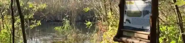 Örvényi Pákász Tanösvény