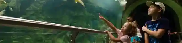 Tisza-tavi Ökocentrum