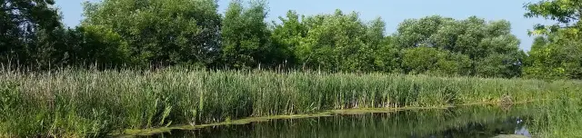 Tiszavalki-főcsatorna