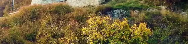 Borostyán tanösvény