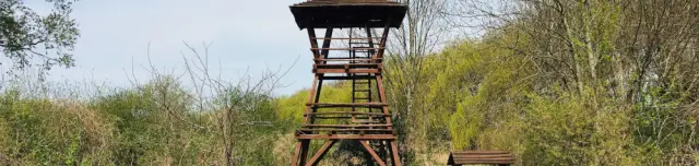 Töreki Tavak Tanösvény