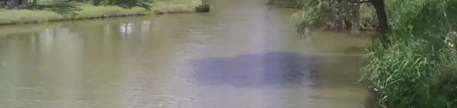 Kákástó Horászpark