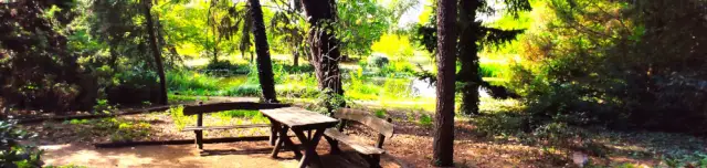 Tuzson János Botanikus Kert