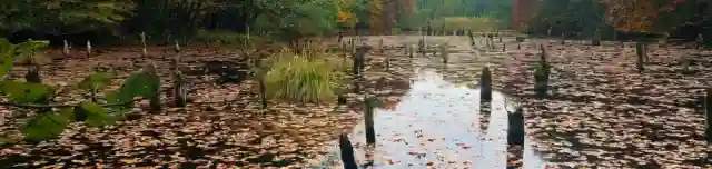 Hubertlaki-tó (Bakonyi Gyilkos-tó)