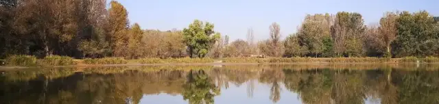 Üllési Horgásztó