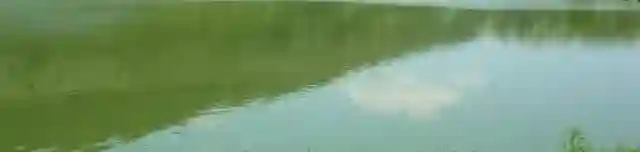 Várgesztesi horgásztó