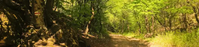 Vár-völgyi tanösvény