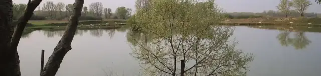 Vecsési horgásztó