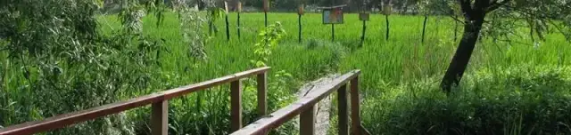 Veresegyházi Tavak Tanösvény