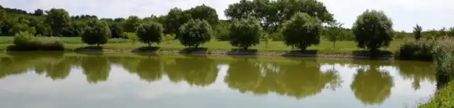 Vértesboglári horgásztó