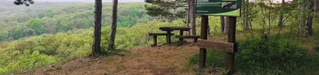 Vértesi Panoráma tanösvény