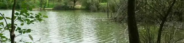 Vértessomlói homokbányatavak