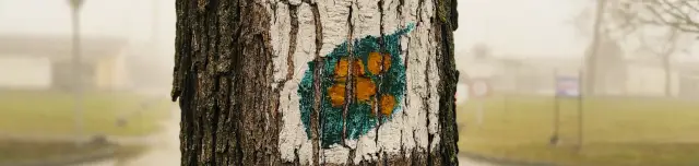 Berkenye Tanösvény