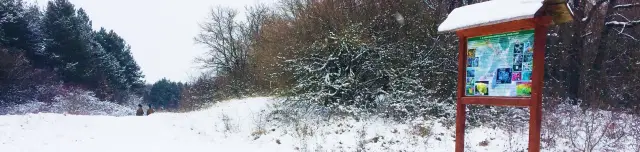 Rab Mária erdei tanösvény