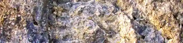 Ammonitesz tanösvény