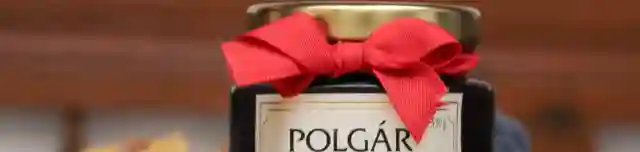 Polgár Pincészet és Panzió