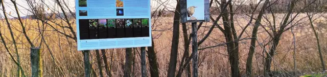 Kékperjés tanösvény