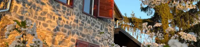Vinea Apartman