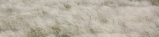 Vadvirágos tanösvény