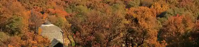 Madas László Erdészeti Erdei Iskola