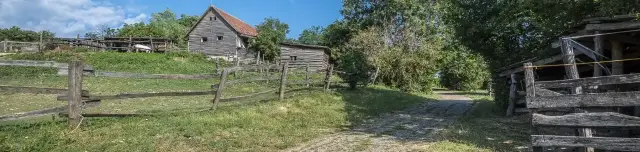 Mogyoró-hegyi Vadbemutató Kert