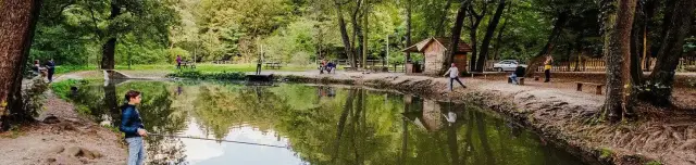 Visegrádi Pisztrángos Tavak