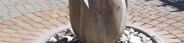 Tulipánformájú csobogó