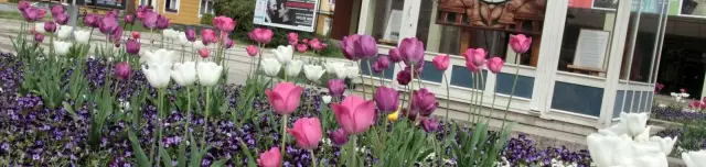 Földön járó toronyóra