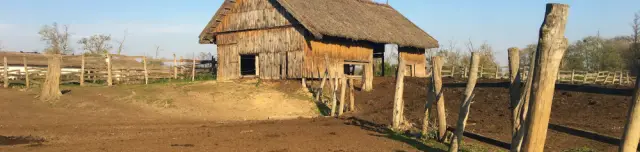 Kápolnapusztai Bivalyrezervátum