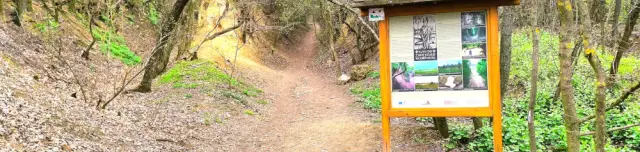 Szent Norbert Tanösvény