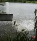 Téglagyári-tó, Sárvár