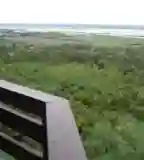 A Pákozdi Arborétum kilátója, Pákozd