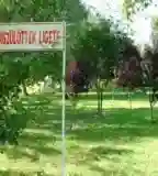 Újszülöttek ligete, Andocs