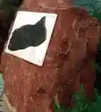 1848-1956-os emléktábla, Zamárdi