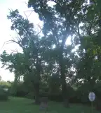 Hétvezér-facsoport, Ács