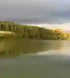 Adonyi Holt-Duna-ág, Adony