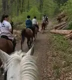 Vadon Lovas Club, Ágfalva