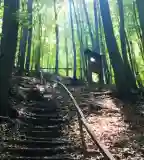 Sárcsikút Tanösvény, Ajka