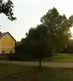 Erdei vasút, Almamellék