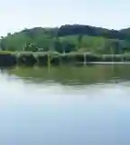 Almamelléki horgásztó, Almamellék