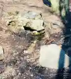 Angelika-forrás, Sukoró