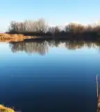 Kenderáztató-tó, Apagy