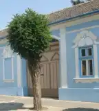 Langó Hagyományőrző Ház, Apátfalva