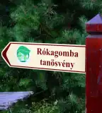 Rókagomba tanösvény, Apátistvánfalva