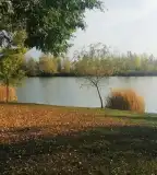 Homokbányató, Ártánd