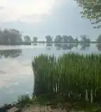 Kígyós-tó, Bácsalmás