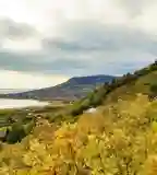 Folly Arborétum, Badacsonytomaj